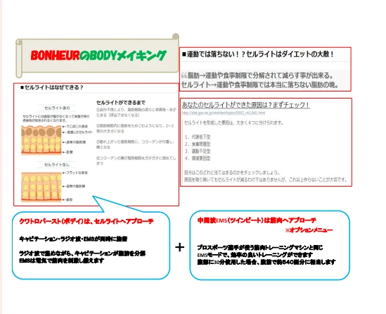 プログラムの魅力｜科学に基づいた脂肪分解