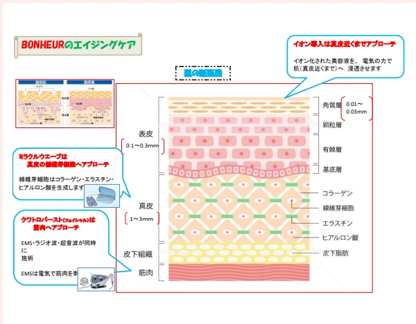 フェイシャルケアの重要性